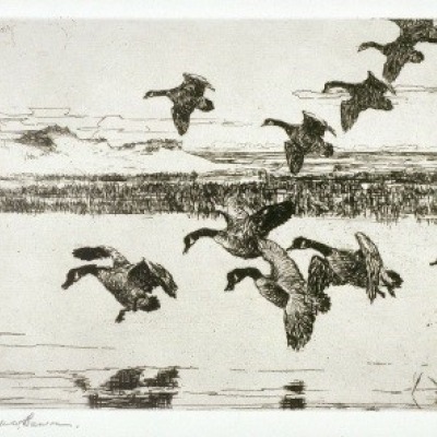 Tired Geese by Frank Weston Benson, 1935 Etching