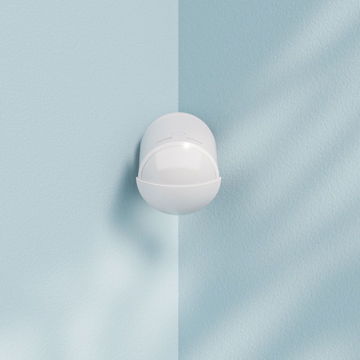 Adjustable Motion Detection