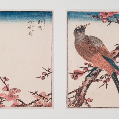 Untitled Woodblock Prints by Kitao Shigemasa 