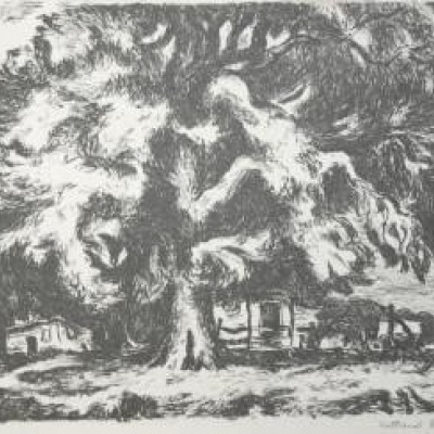 God's Tree by Nathaniel Pousette-Dart