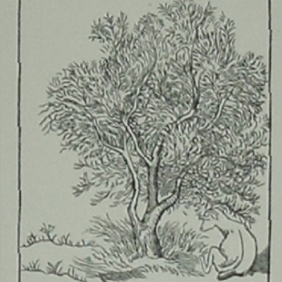 Aristide Maillol "Illustration for Le Georgique #2" 1940 wood engraving