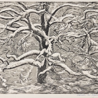 Dwight Kirsch, Oak Tree in Winter