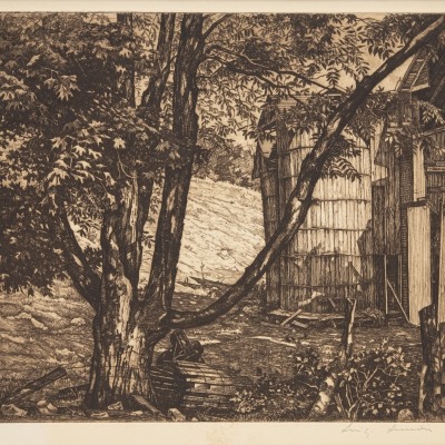 Luigi Lucioni, The Big Shadow