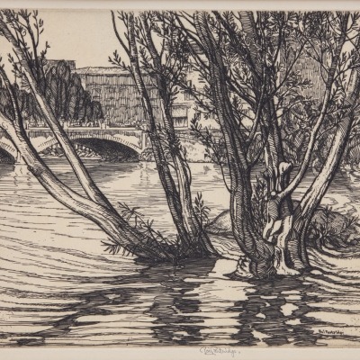 Roi Partridge, Water Willows